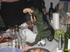 crayfishparty 020 (Large).jpg
