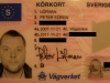 drivers license 003 (Large).jpg