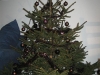 making the christmas tree 007 (Large).jpg