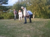 IMG_8682_1.JPG