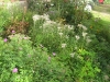019 - small.jpg