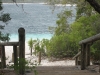 australia 2008, part 2 045 small.jpg