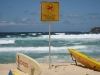 australia 2008, part 1 584 small.jpg