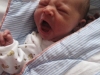 noemi 201-small.jpg