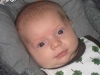 varbilder_010_small.jpg