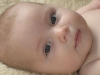 Vincent_kalas 012_small.jpg