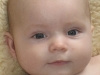 Vincent_kalas 013_small.jpg