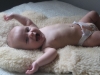 Vincent_kalas 014_small.jpg