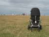 Osterlen_098_small_small.jpg