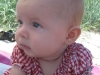 Osterlen_141_small_small.jpg