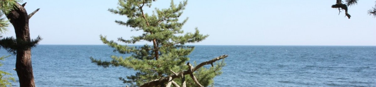 The Löfmans